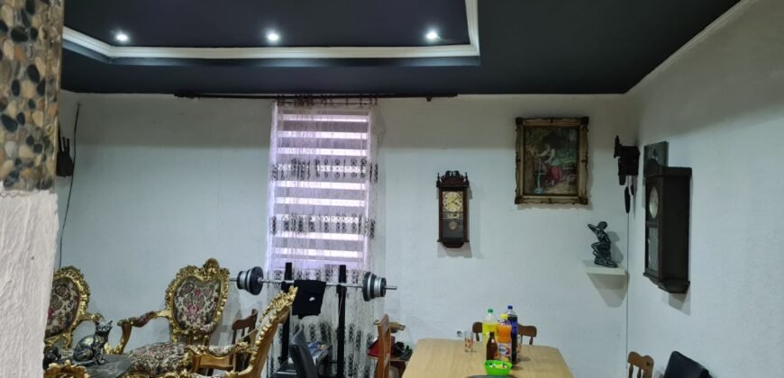 Kuća u Novom Kneževcu