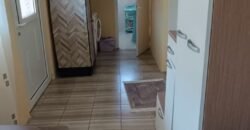 Kuća u Sečnju