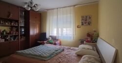 Kuća u Sečnju