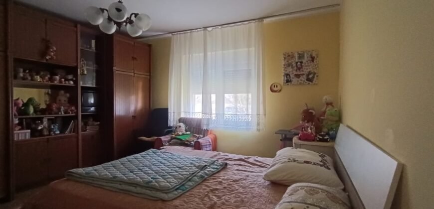 Kuća u Sečnju