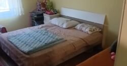Kuća u Sečnju