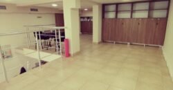 Lokal na Lesnini