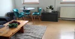 Dve kuće u Centru Zrenjanina