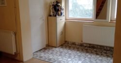 Dve kuće u Centru Zrenjanina