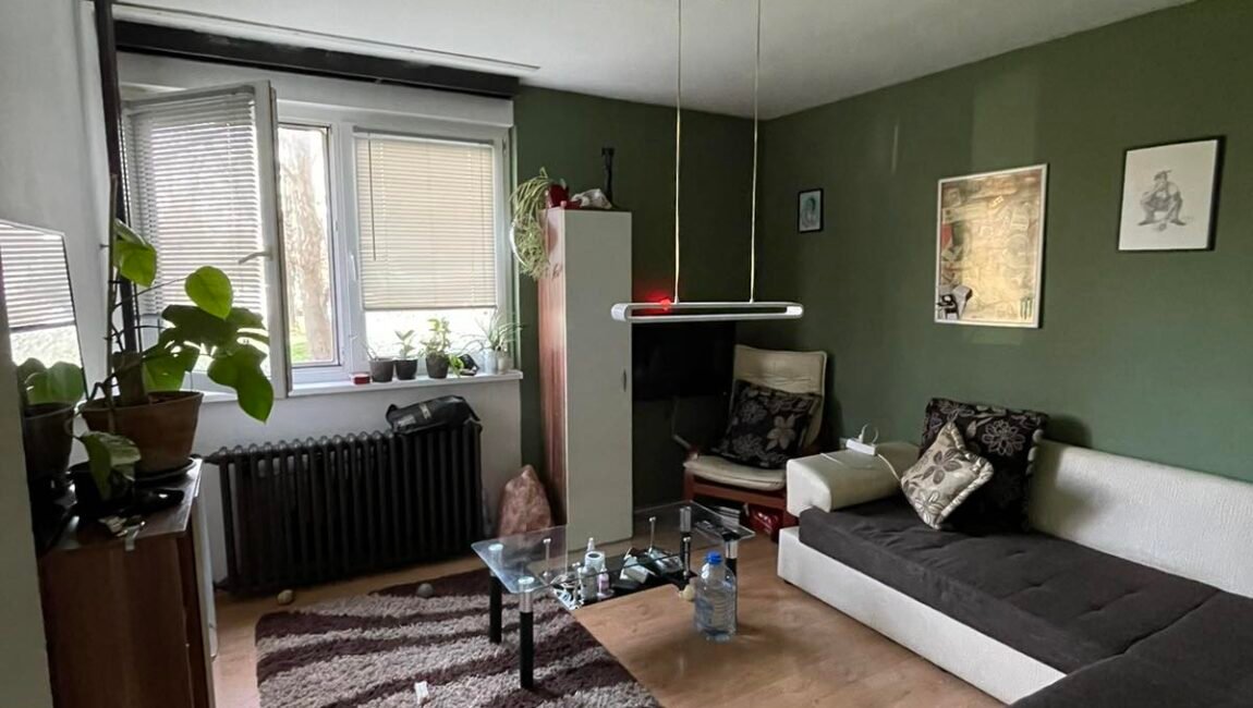 Dvosoban stan na Bagljašu