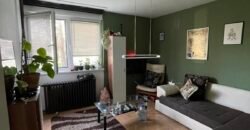 Dvosoban stan na Bagljašu