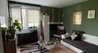 Dvosoban stan na Bagljašu