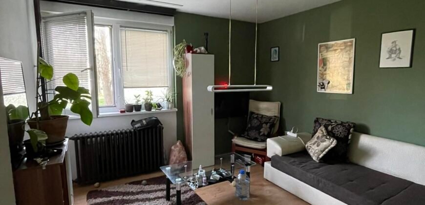 Dvosoban stan na Bagljašu