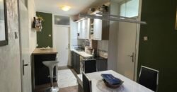 Dvosoban stan na Bagljašu