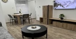 Dva dvosobna stana na Duvanici