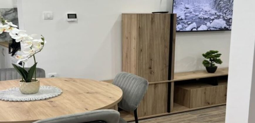 Dva dvosobna stana na Duvanici