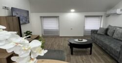 Dva dvosobna stana na Duvanici