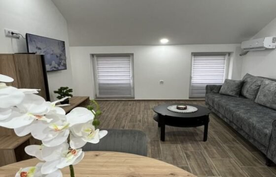 Dva dvosobna stana na Duvanici