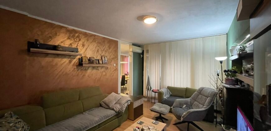 Dvosoban stan na Bagljašu