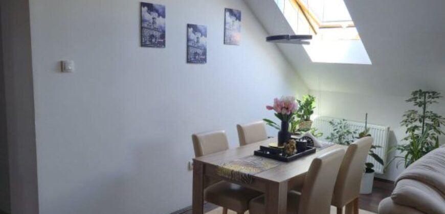 Četvorosoban stan u naselju Brigadira Ristića