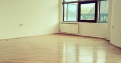 Trosoban stan u Centru