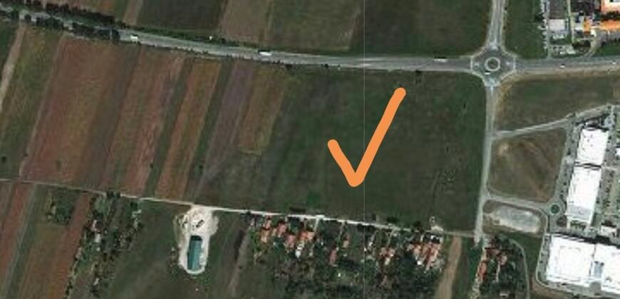 Plac kod Big-a, Zrenjanin