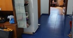 Kuća na Ruži Šulman