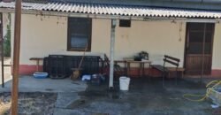 Kuća na Ruži Šulman