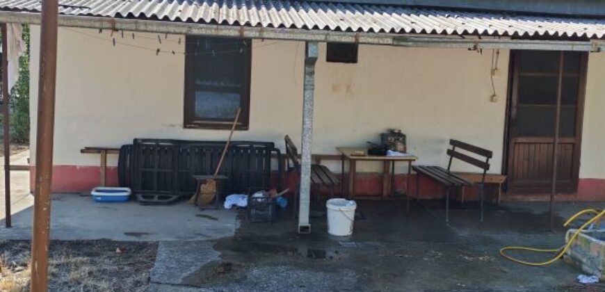 Kuća na Ruži Šulman