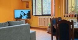 Trosoban stan u Brigadira Ristića